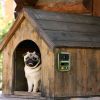 Ultrasonic Anti-Barking Device Rechargeable Auto Dog Bark Control Deterrent Box Training Device IPX4 Waterproof with 3 Frequency Max 32.8Feet Sen