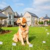 Electric Dog Fence System With Collar & Wire / Collar Receiver Only / Wire Only / Wire Pro Only, Options