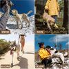 Dog Boots Breathable Dog Shoes for Small Medium Large Dogs; Waterproof Anti-Slip Puppy Booties Paw Protector for Hot Pavement Winter Snow Hiking