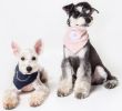 Touchdog 'Dizzy-Eyed Cyclops' Cotton Velcro Dog Bandana and Scarf