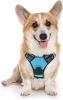Dog Harness; No-Pull Pet Harness with 2 Leash Clips; Adjustable Soft Padded Dog Vest; Reflective No-Choke Pet Oxford Vest with Easy Control Handl